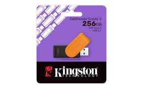 PEN DRIVE USB KINGSTON 3.2 256GB